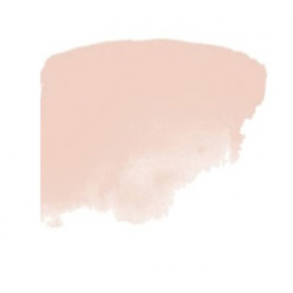 A>2 -778 Flesh Tint - 120 ml