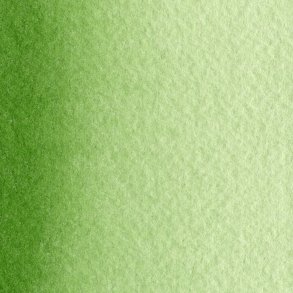 MaimeriBlu-358 Sap Green - 12 ml