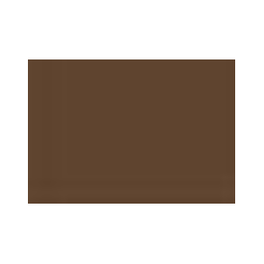 2420 Raw Umber ***