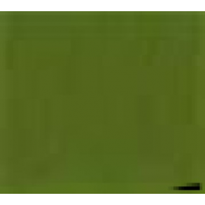 668 Amsterdam Expert - Chromium Oxide Green *** Prisgr 3.