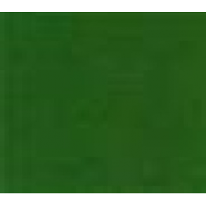 619 Amsterdam Expert -Perm.Green Deep *** Prisgr3.