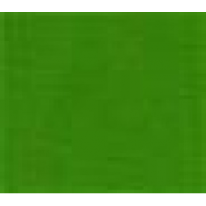 618 Amsterdam Expert -Perm.Green Light *** Prisgr 2.