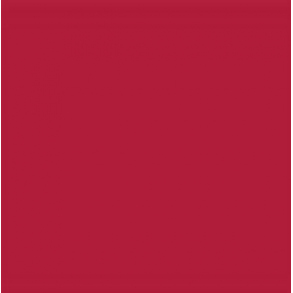 369 Amsterdam Std.- Primary Magenta