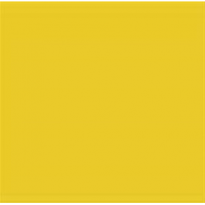 275 Amsterdam Std.- Primary Yellow