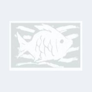 Nerschau 101 White *** - 200 ml