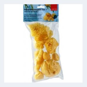 Natursvampe til akvarel- st m/6 svampe  