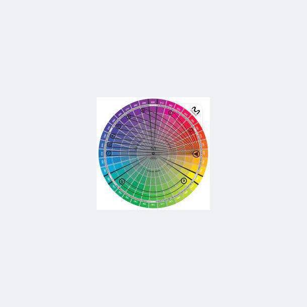 Moriarty Colour Wheel  