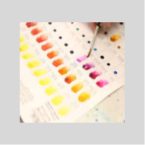 Winsor&Newton Professionel akvarel- farvekort med org. farver